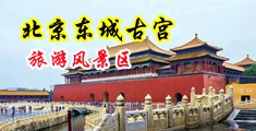 大屌人妖中国北京-东城古宫旅游风景区